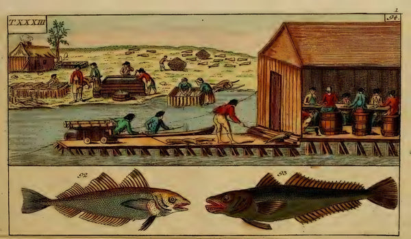 Lancement de livre Fragments d'histoire maritime  de Mario Mimeault<br>04.12.2025